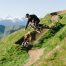 Zwei Mountainbiker auf einer steilen Abfahrt in Saalbach